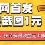 全网首发，一张截图1块钱，一分钟一单，多劳多得，收益无上限